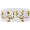 Image 3 : Pair of French Gilt Bronze Candleabras