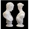 Image 2 : Neoclassical Style Plaster or Paris Bust