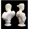 Image 3 : Neoclassical Style Plaster or Paris Bust