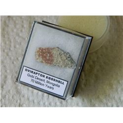 DINOSUAR EGG SHELL - 70 MILLION YEARS OLD - IN CASE - OVIRAPTOR