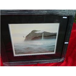 FRAMED LIMITED EDITION PRINT - SPIRIT OF HAIDA GWAII - C MacCLUE - ESTIMATED GALLERY PRICE $550