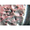 Image 5 : METAL ORNAMENT - HORSE & SWORD - STAMPED "EBJ"