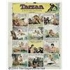 Color Proofs for Tarzan Newspaper Strip, Artwor