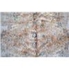 Image 4 : Antique Palace Large Room Size Persian Kerman Rug