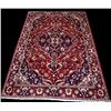 Image 1 : Finely Detailed Persian Bakhtiari 'Desert Rug'