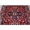 Image 2 : Finely Detailed Persian Bakhtiari 'Desert Rug'