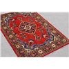 Image 1 : Hand Woven Viss Design Persian Rug