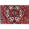 Image 3 : Beautiful Finely Detailed Persian Bakhtiari