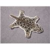 Image 2 : Modern Stylish Hand-Tufted Leopard Skin Shape Wool Rug 2x3