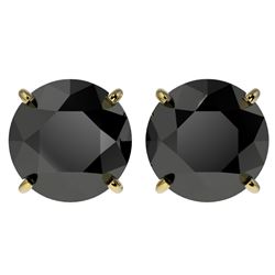 4 CTW Fancy Black VS Diamond Solitaire Stud Earrings 10K Yellow Gold - REF-96W9H - 33136