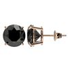 Image 2 : 4.19 CTW Fancy Black VS Diamond Solitaire Stud Earrings 10K Rose Gold - REF-100M2F - 36712