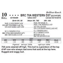 Lot 10 - BRC 70A WESTERN D37