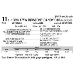 Lot 11 - BRC 175W RIBSTONE DANDY D16