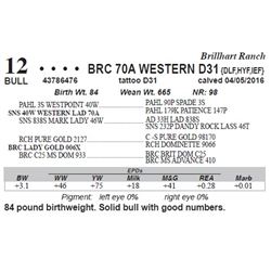 Lot 12 - BRC 70A WESTERN D31