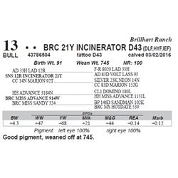 Lot 13 - BRC 21Y INCINERATOR D43