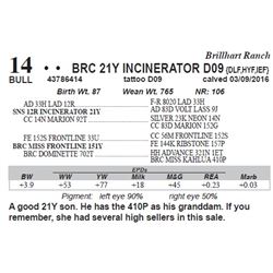 Lot 14 - BRC 21Y INCINERATOR D09