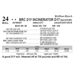 Lot 24 - BRC 21Y INCINERATOR D17