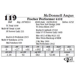 Lot 119 - Fischer Performer 6152