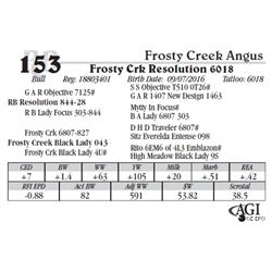 Lot 153 - Frosty Crk Resolution 6018