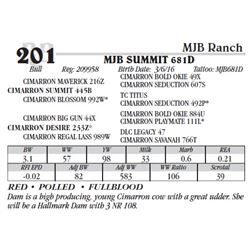 Lot 201 - MJB SUMMIT 681D