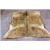 Image 1 : Antique Elk Hide Blanket
