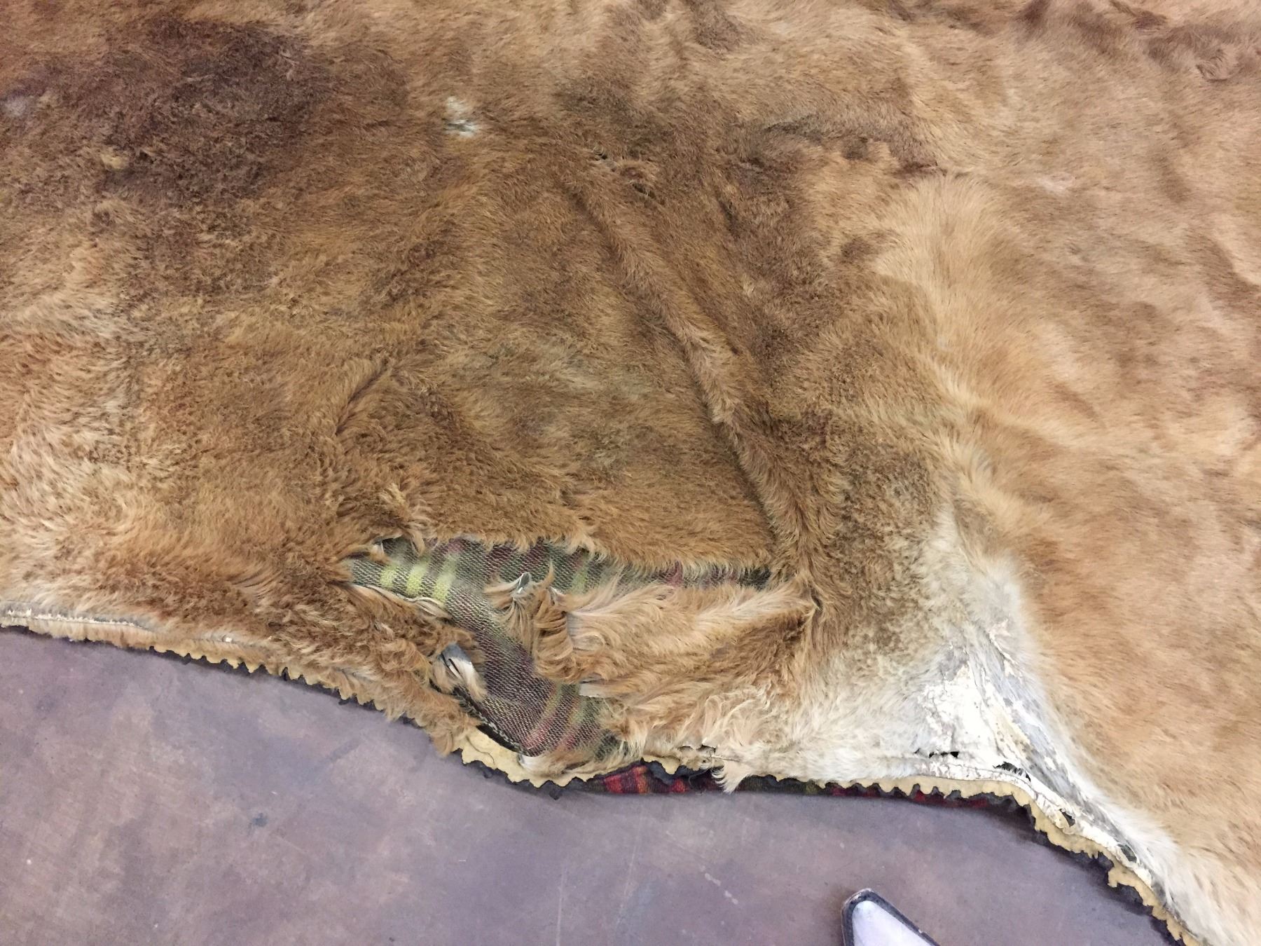Antique Elk Hide Blanket