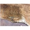 Image 4 : Antique Elk Hide Blanket