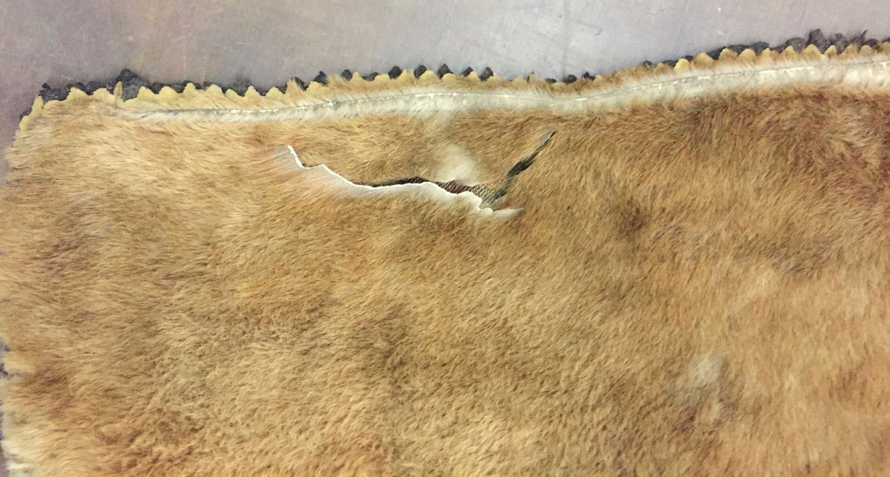 Antique Elk Hide Blanket