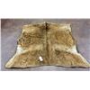 Image 7 : Antique Elk Hide Blanket