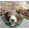 Image 2 : Old Brown Bear Hide Rug