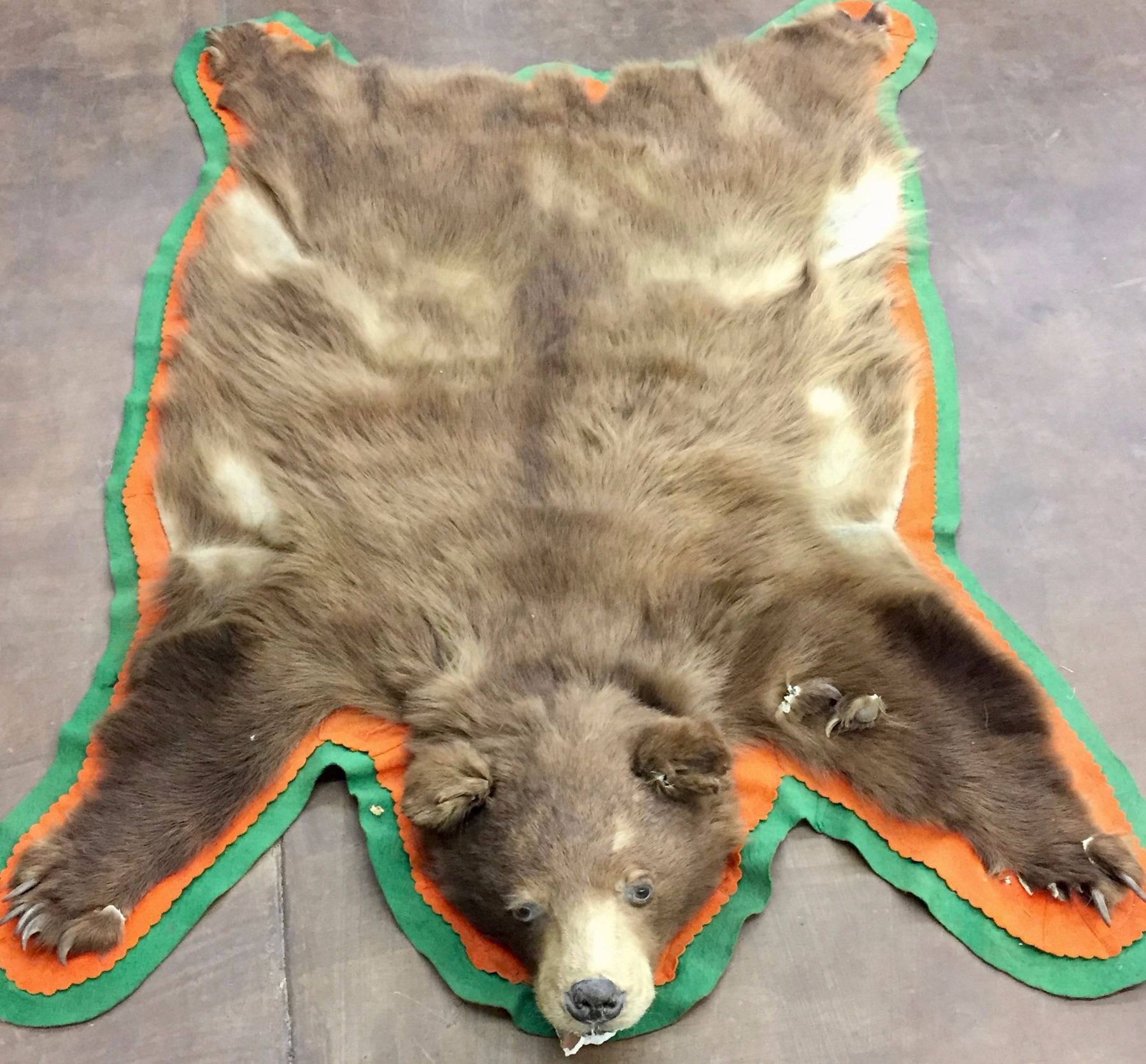 Old Brown Bear Hide Rug
