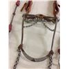 Image 1 : Mexican Bit and Headstall