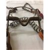 Image 8 : Mexican Bit and Headstall