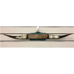 Turquoise Decorated Steer Horns