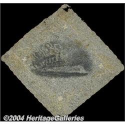 1909 Ladies' Alaska-Yukon-Pacific Exposition