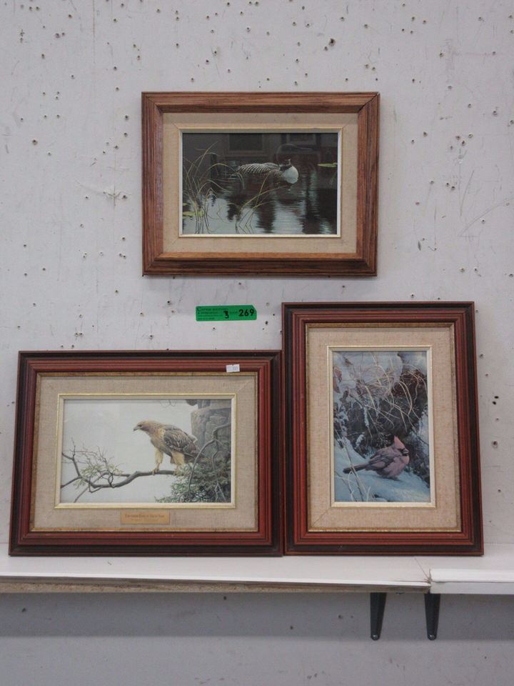 3 Framed Robert Bateman Bird Prints