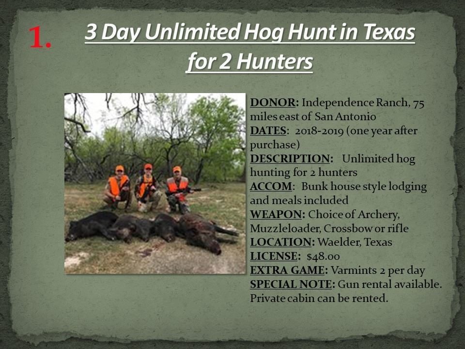 3 Day Hog Hunt in Texas. Unlimited hogs for 2 hunters on the