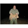 Image 1 : 3 Day Small Predators in Serbia plus 2 days touring. Hunt is for 2 or 1 hunter and 1 observer. All f