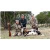 Image 1 : 2 Day, 2 Night Hog & Varmint Youth Hunt for 4-6 kids (age 6-16) and 2-3 adults in Texas with lodging