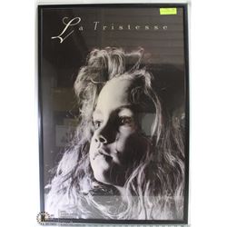 LARGE FRAMED PHOTO PICTURE .