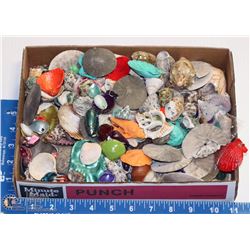 LOT OF HUNDREDS OF SEASHELLS INCL SOME PENDANTS