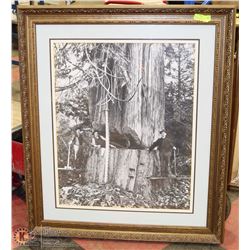 VINTAGE FRAMED MATTED LOGGING PRINT 38X45.