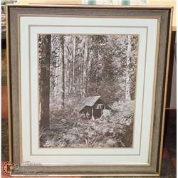 FORESTRY FRAMED PICTURE ON CHOICE