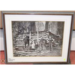 FORESTRY FRAMED PICTURE ON CHOICE