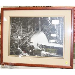 FORESTRY FRAMED PICTURE ON CHOICE