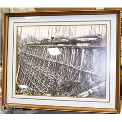 FORESTRY FRAMED PICTURE ON CHOICE