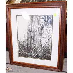 SMALL FRAMED FORESTRY PICTURE ON CHOICE