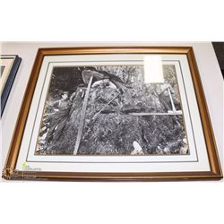 FRAMED FORESTRY PICTURE ON CHOICE