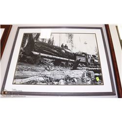 FRAMED FORESTRY PICTURE ON CHOICE