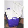 Image 3 : X-LARGE COOLER.